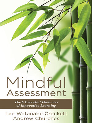 cover image of Mindful Assessment